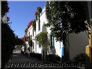 www.foto-canarias.de