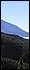 www.foto-canarias.de